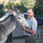 A wheelchair with legs