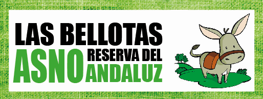 "Las Bellotas" Reserva del Burro Andaluz