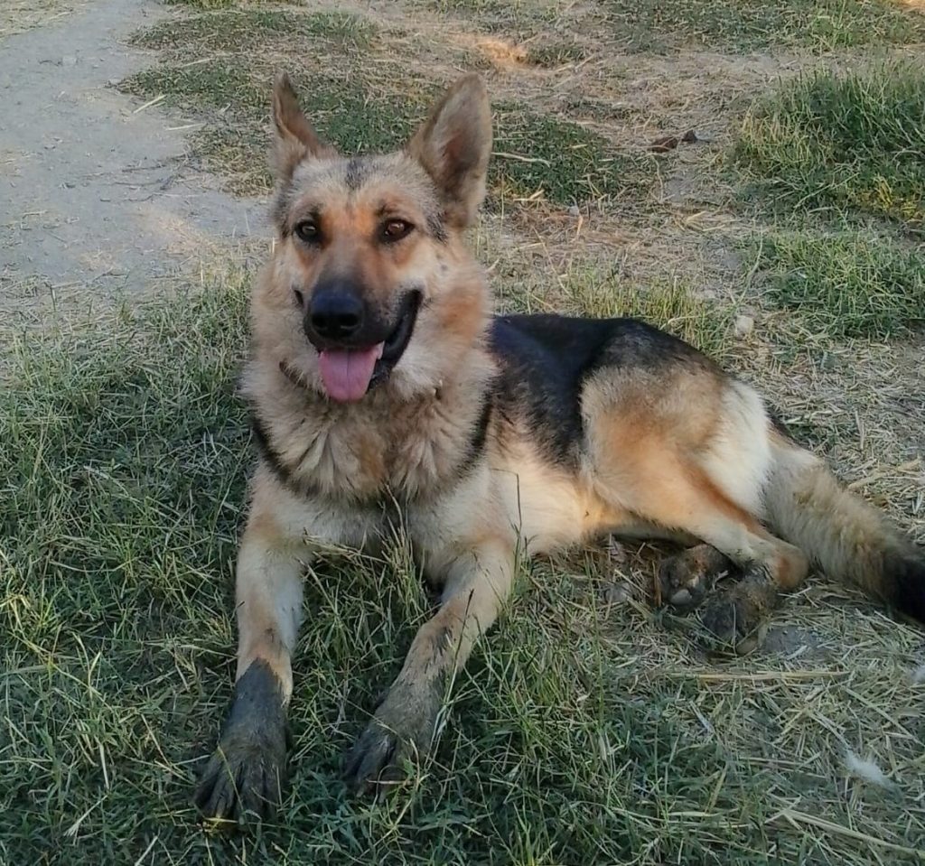 La imagen tiene un atributo ALT vacío; su nombre de archivo es PHOTO-2020-08-01-15-14-05-1024x959.jpg